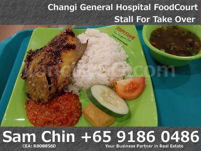 Kopitam Food Court – Changi General Hospital -Ayam Penyet