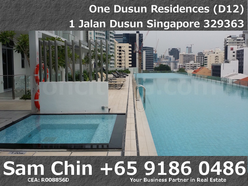 One Dusun Residences – Jacuuzi Pool and Lap Pool